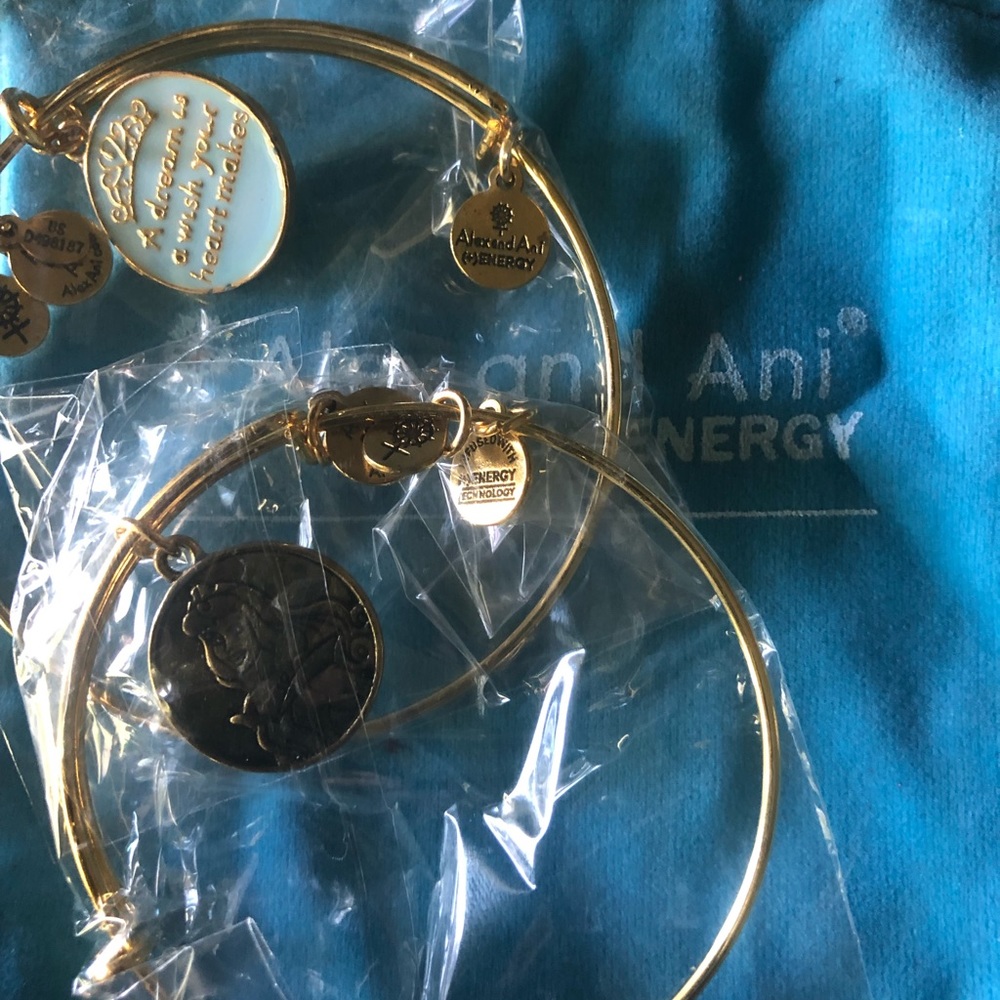 Alex and Ani Disney Sleeping Beauty and Cinderella